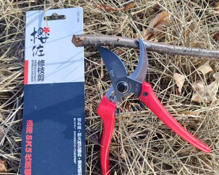 樱佐YZT-140修枝剪